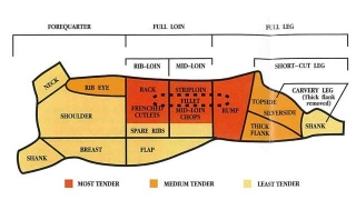 The cuts depicted on a carcass