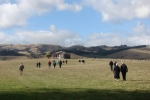 southdown-tour-2010-066-640x480