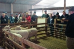 Judging Discussion at \"Fernhill\"