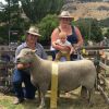 Southdown ram takes top prize at Little River
