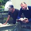 Chisholm getting a real buzz out of breeding Southdown sheep
