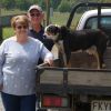 Time to get out of the stud game after 50 years of sheep breeding