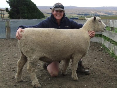 Southdown breeder Lachlan Elliot established his Lammermoor stud in 2005.