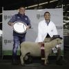 Passion breeds &lsquo;extremely efficient&rsquo; Southdown flock