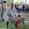Showing maintains competitive edge