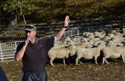 Riverside stud owner Don Murray, of Waitahuna, speaks about his farm on a stop of the Southdown Sheep Society of New Zealand’s national southern tour last week.