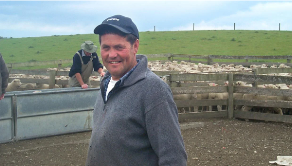 Waimate breeder Chris Medlicott hosts a ram and sheep sale at his farm every year. 