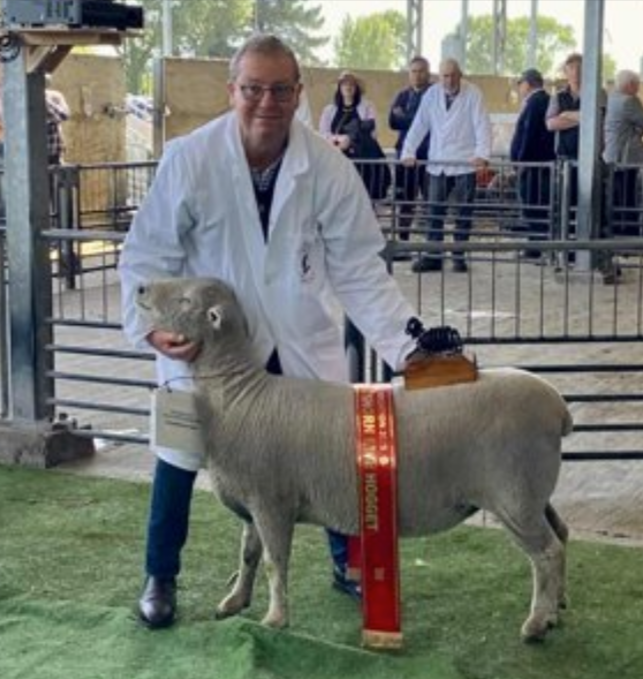 Southbridge breeder Andrew Christey with the winner in the Southdown Ewe Hogget and All Breeds Miss Canterbury classes at last year’s Canterbury A&P Show.